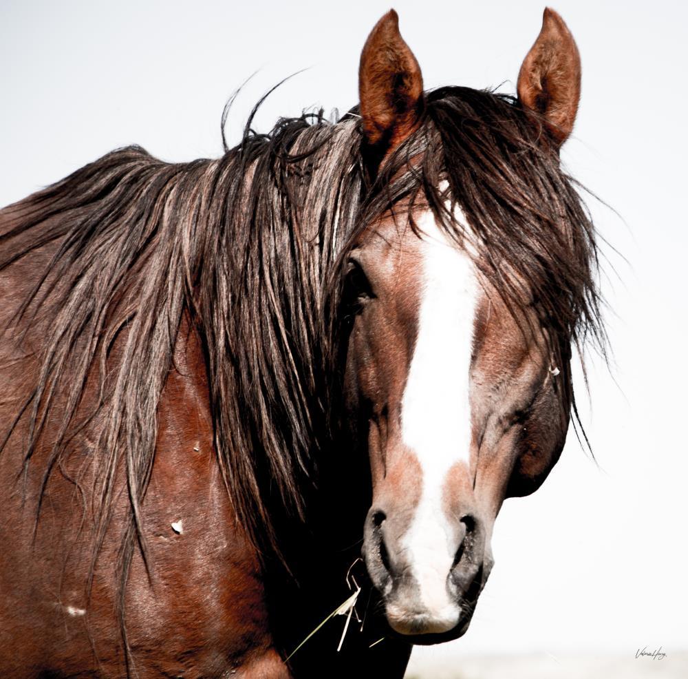 Forever In Your Heart